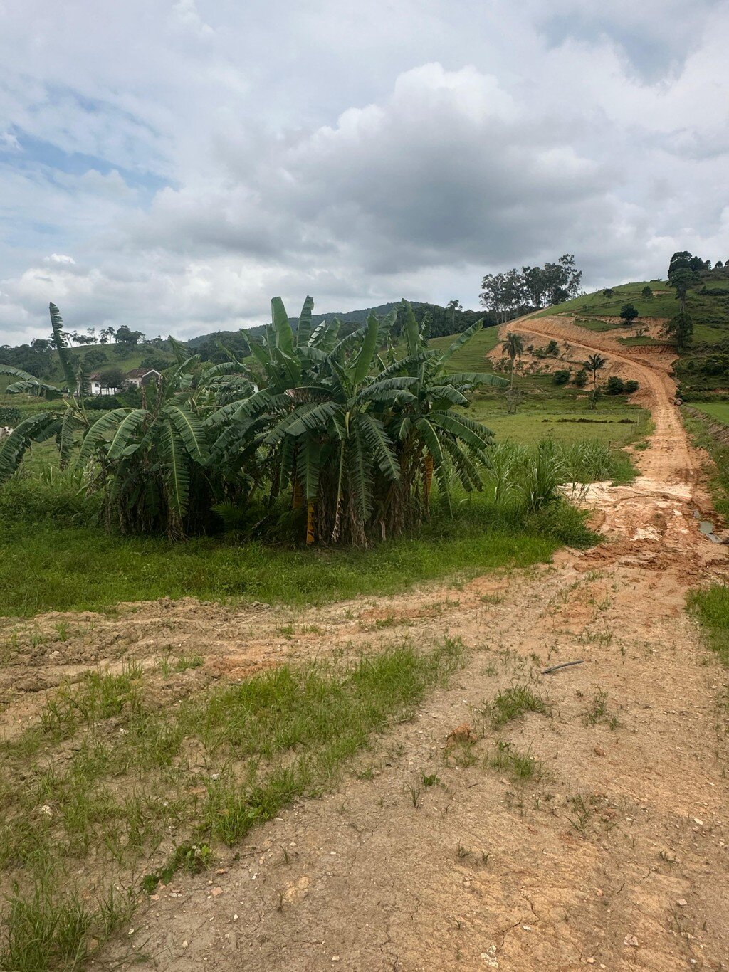 Terreno à venda no Usina: 