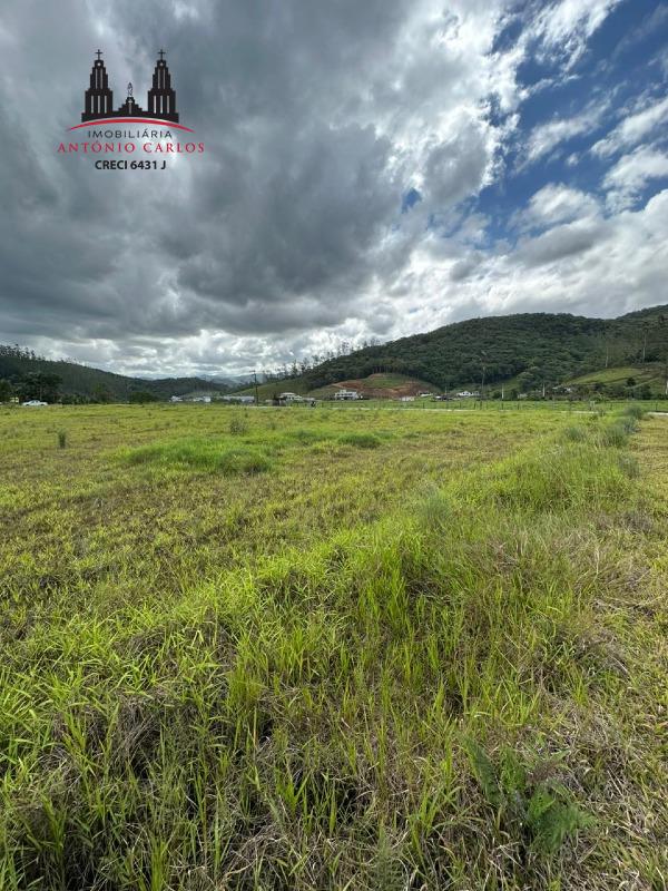 Terreno à venda no Usina: 