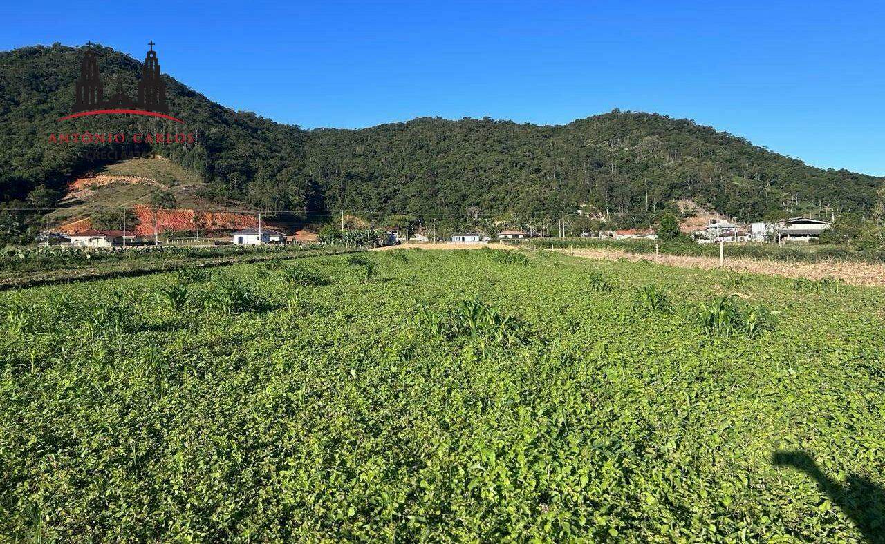 Terreno à venda no Santa Barbara: 