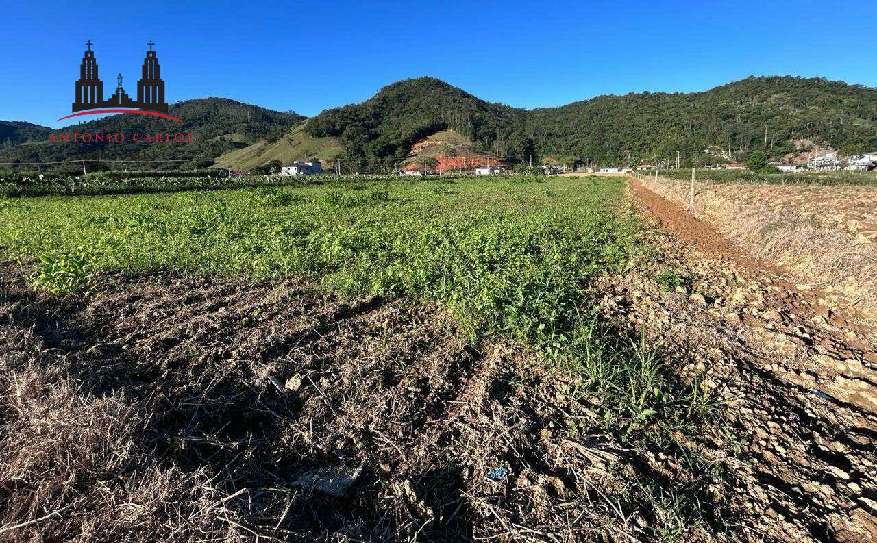 Terreno à venda no Santa Barbara: 