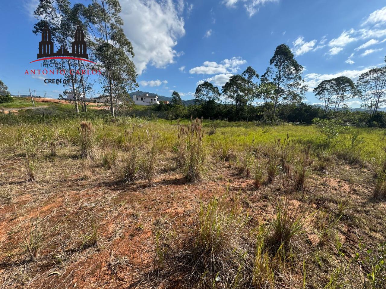 Lote à venda no Loteamento Nova Governador: 