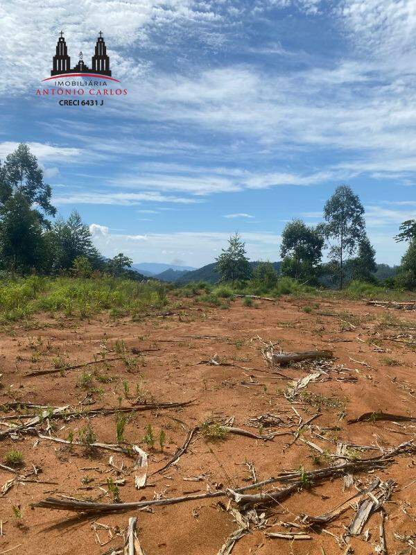 Sítio à venda no Área Rural de Antônio Carlos: 