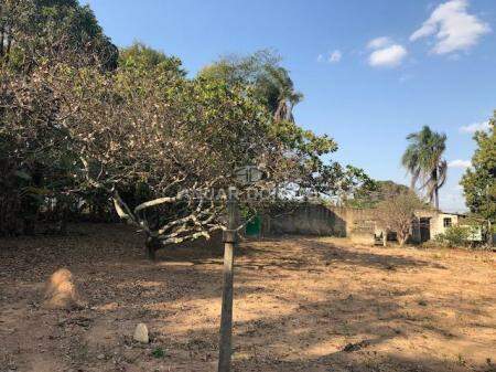 Braúnas - Lote / Terreno à venda na Anuar Donato : 