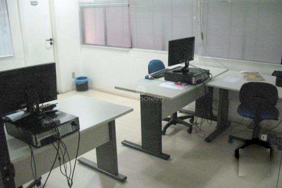 Foto 7