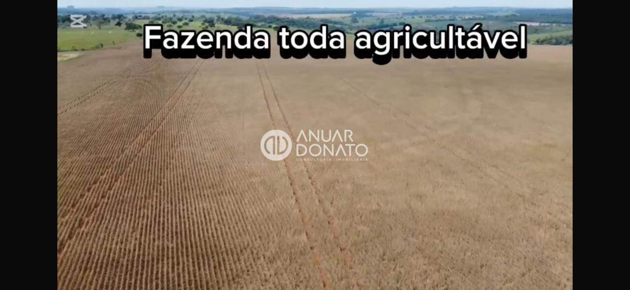 Zona Rural - Fazendas / Sítios à venda na Anuar Donato : Anuar Donato Venda Fazenda Camargos Luz