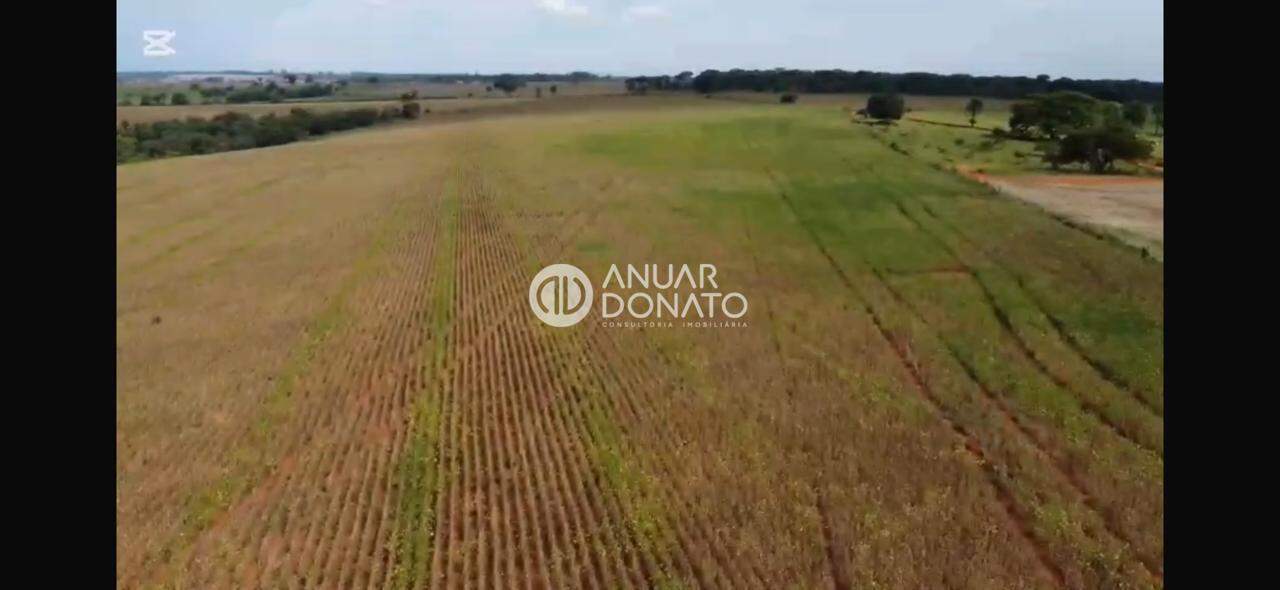 Zona Rural - Fazendas / Sítios à venda na Anuar Donato : Anuar Donato Venda Fazenda Camargos Luz