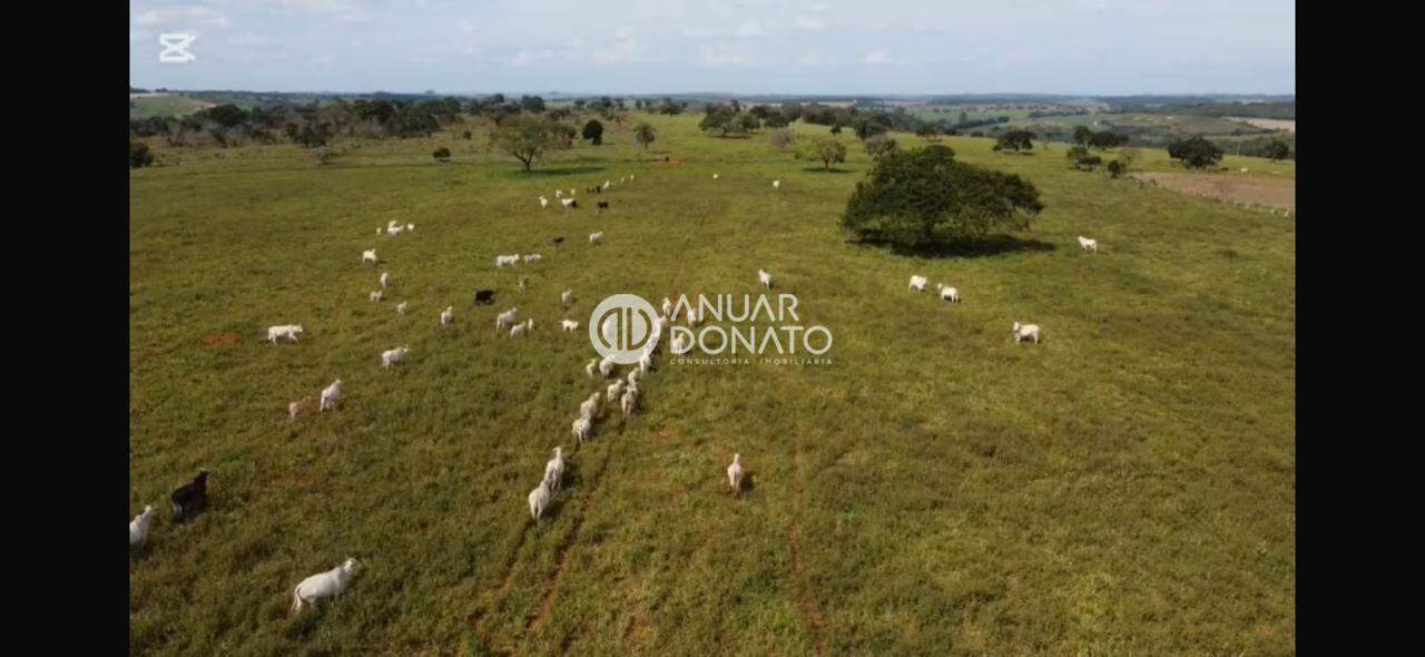 Zona Rural - Fazendas / Sítios à venda na Anuar Donato : Anuar Donato Venda Fazenda Camargos LuzAnuar Donato Venda Fazenda Camargos Luz