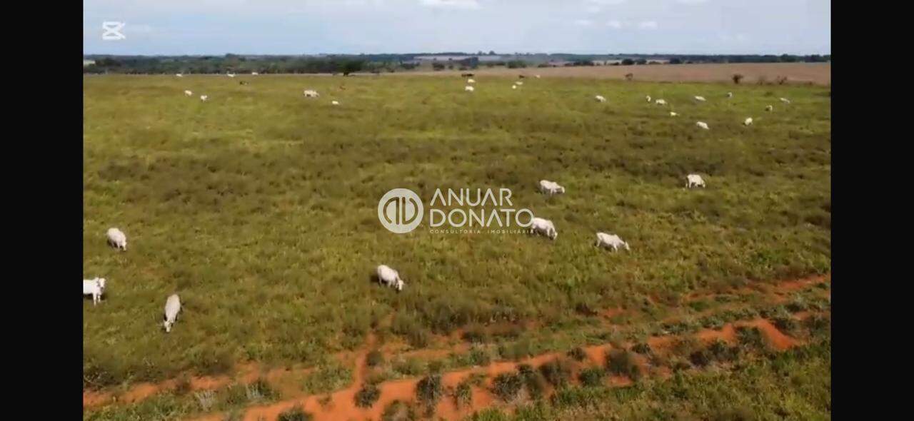 Zona Rural - Fazendas / Sítios à venda na Anuar Donato : Anuar Donato Venda Fazenda Camargos Luz
