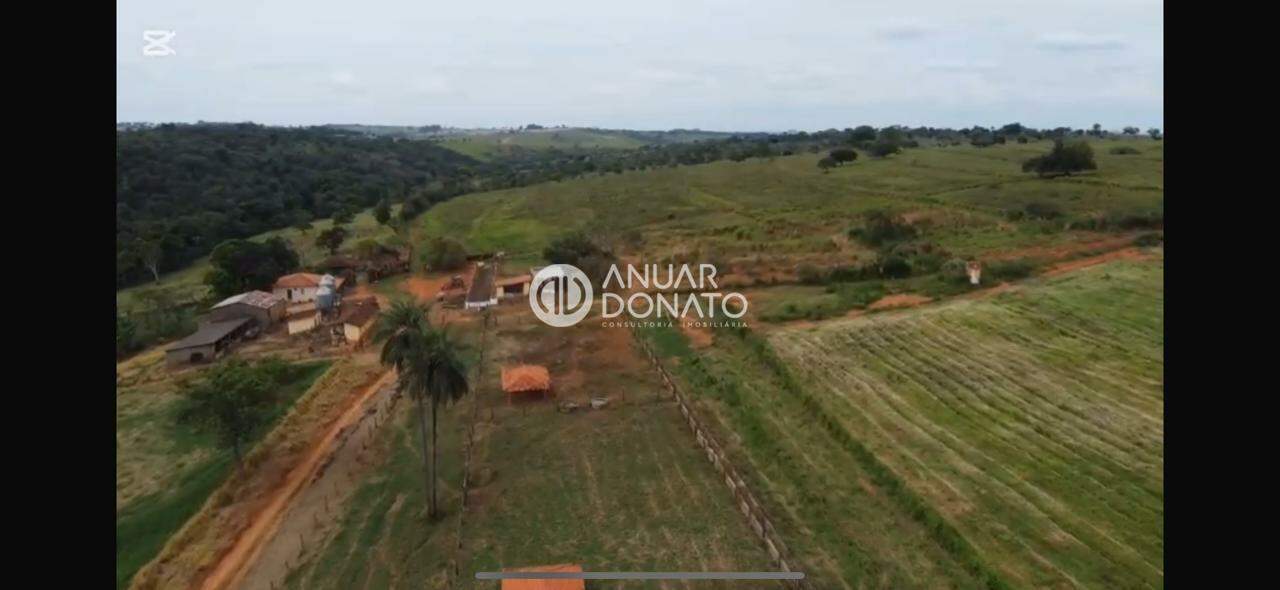 Zona Rural - Fazendas / Sítios à venda na Anuar Donato : Anuar Donato Venda Fazenda Camargos Luz