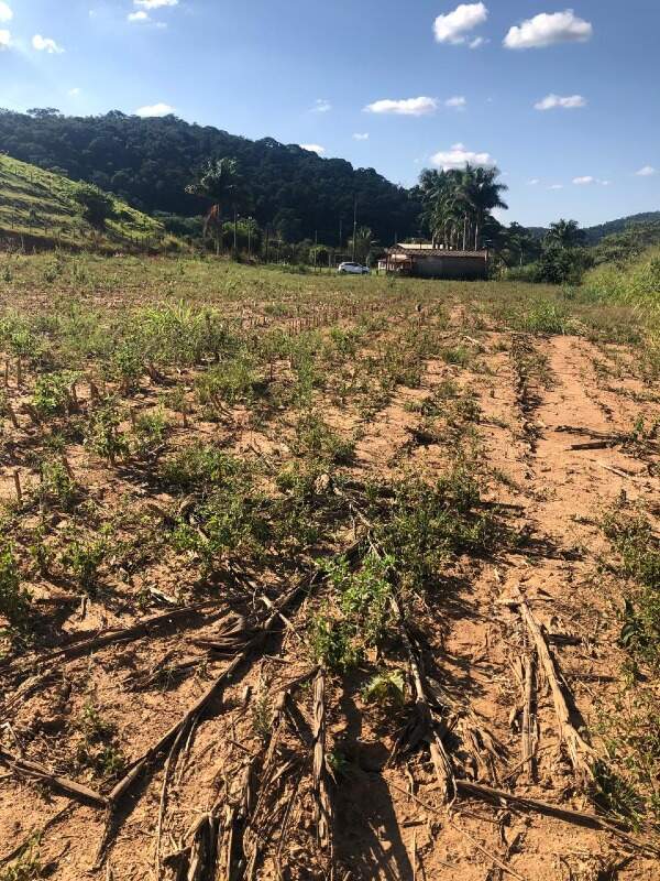 Terreno / Área à venda no Zona Rural: 