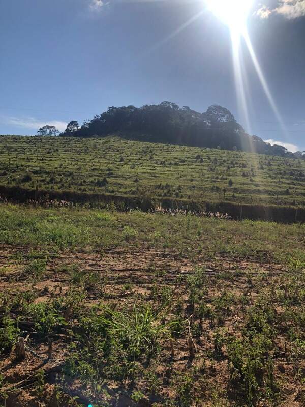 Terreno / Área à venda no Zona Rural: 