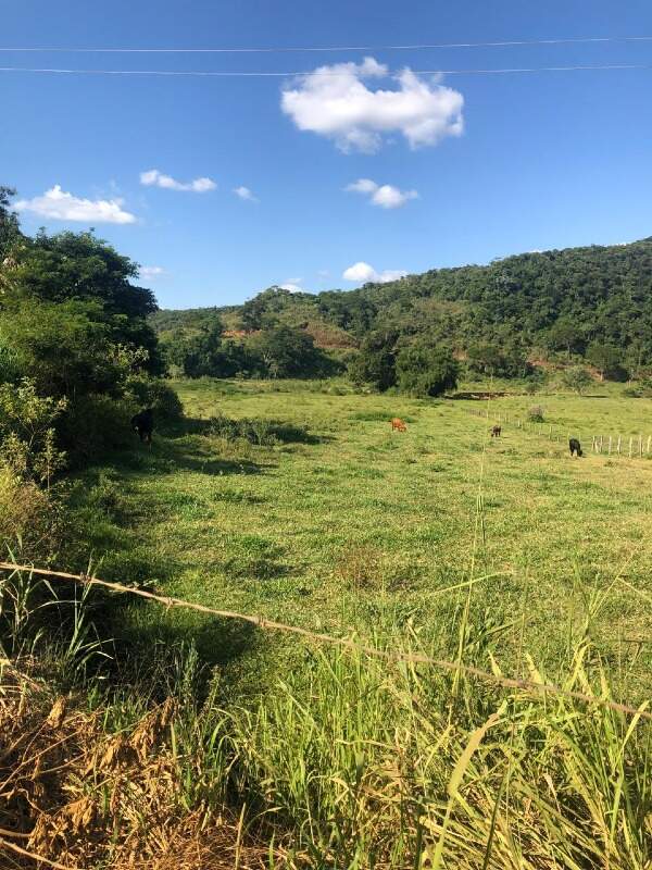 Terreno / Área à venda no Zona Rural: 