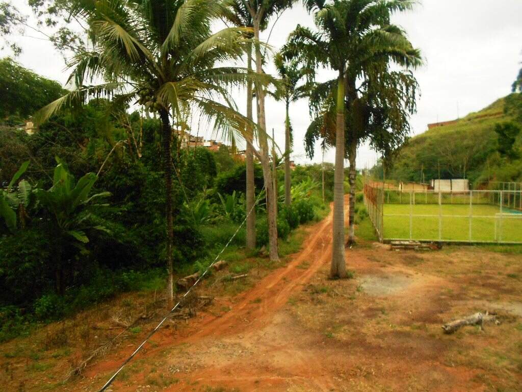 Chácara à venda no Palmeiras: 