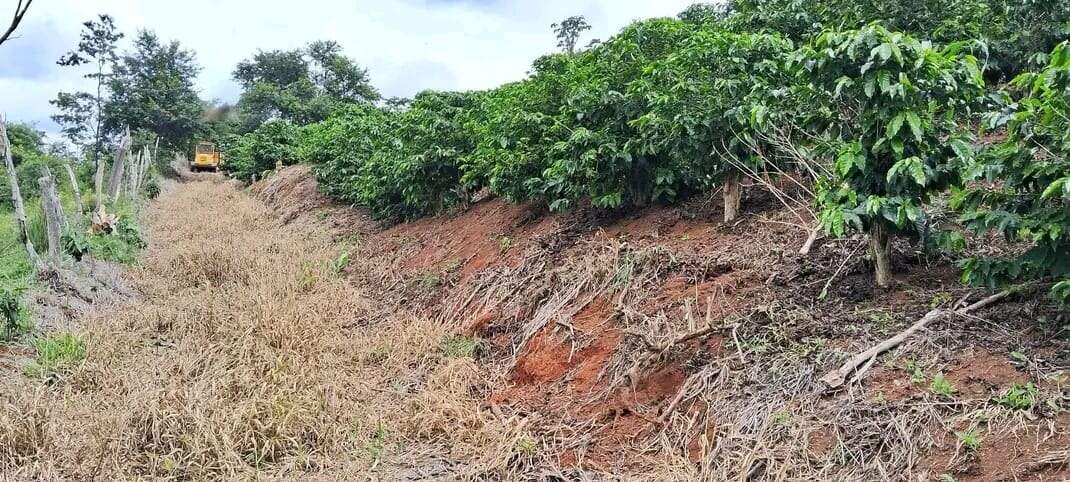 Sítio à venda no Zona Rural: 