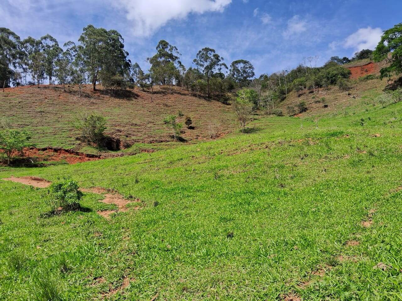 Sítio à venda no Zona Rural: 
