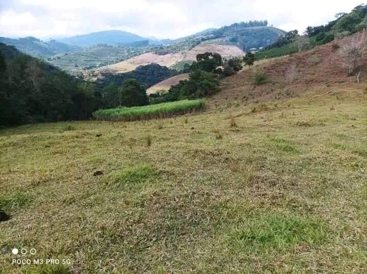 Sítio à venda no Zona Rural: 