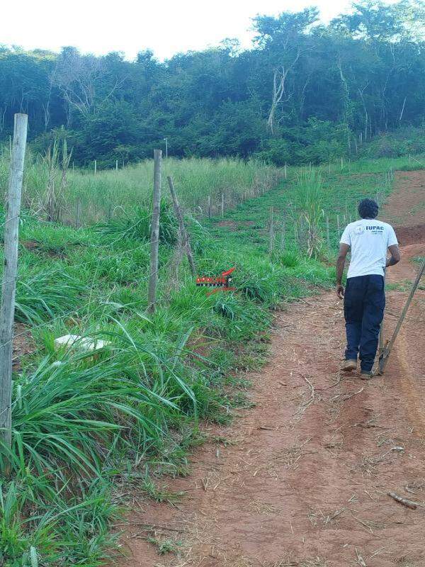 Terreno / Área à venda no Oratórios: 
