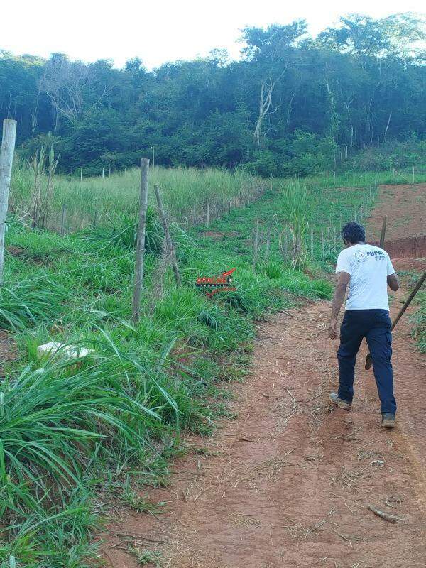 Terreno / Área à venda no Oratórios: 
