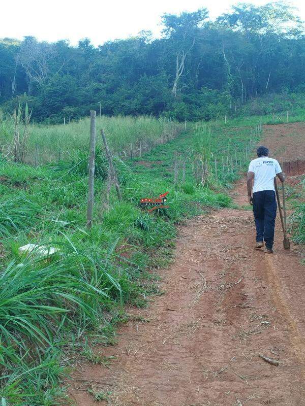 Terreno / Área à venda no Oratórios: 