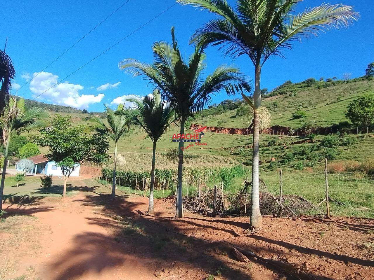 Sítio à venda no Guaraciaba: 