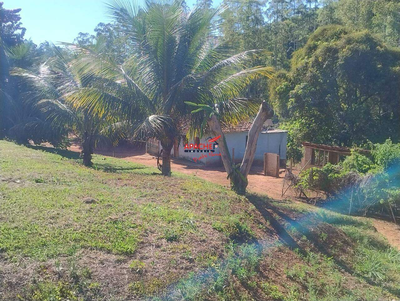 Sítio à venda no Guaraciaba: 