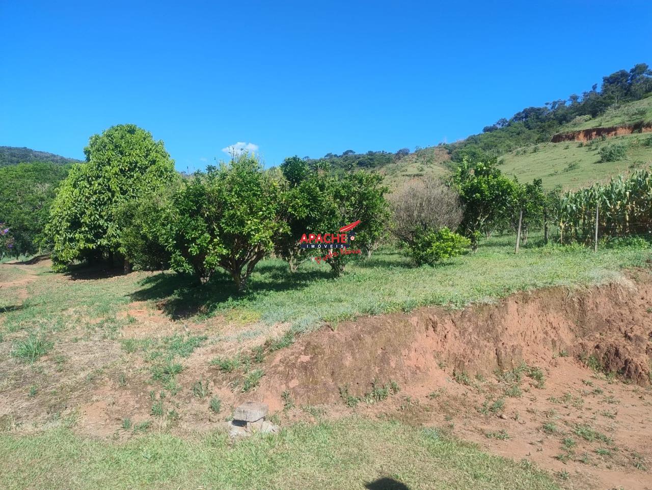 Sítio à venda no Guaraciaba: 