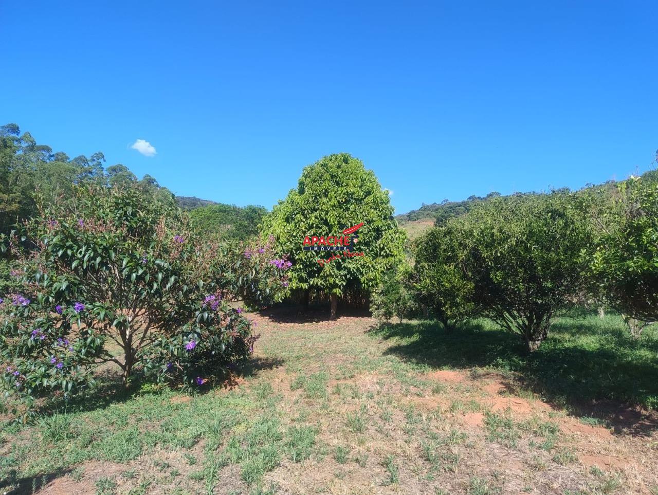 Sítio à venda no Guaraciaba: 