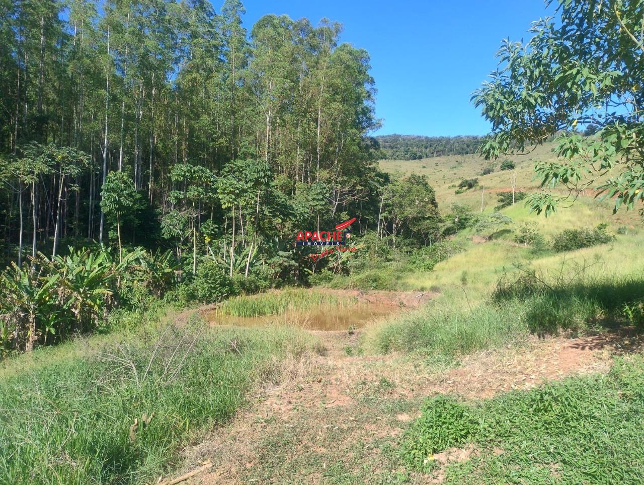 Sítio à venda no Guaraciaba: 