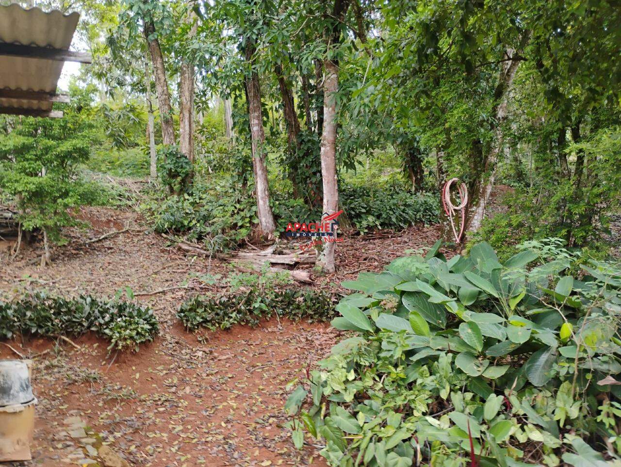 Chácara à venda no Quintas Passatempo: 