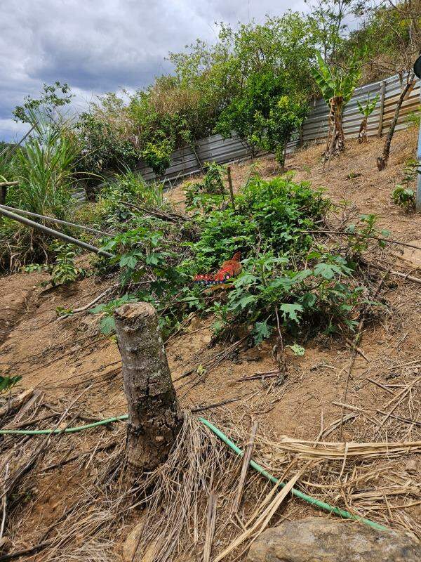 Sítio à venda no ZONA RURAL: 