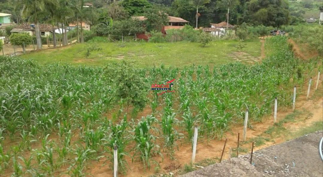 Lote à venda no Área Rural de Ponte Nova: 
