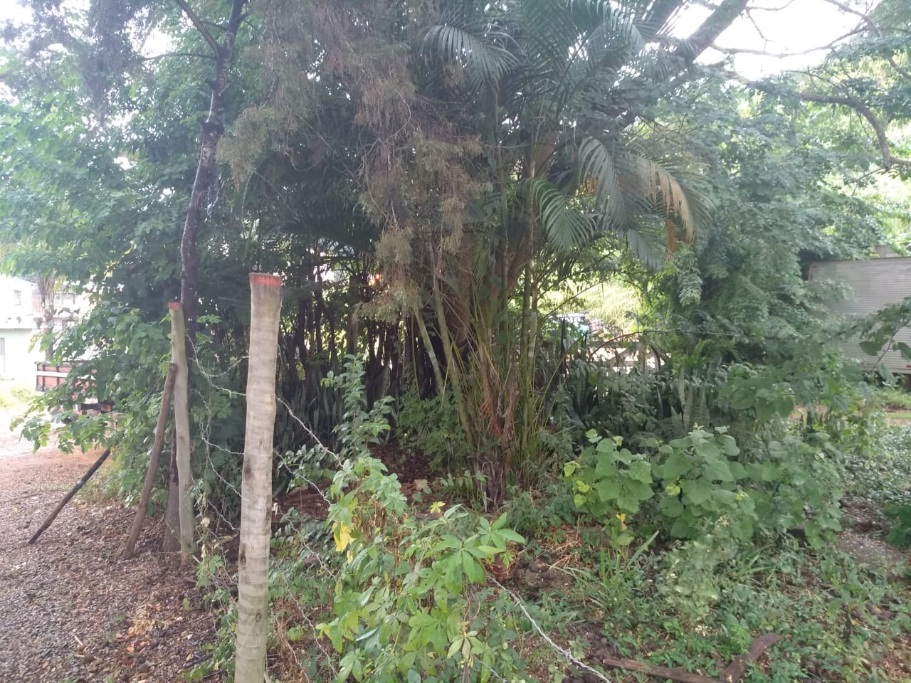 Lote à venda no vale suiço: 