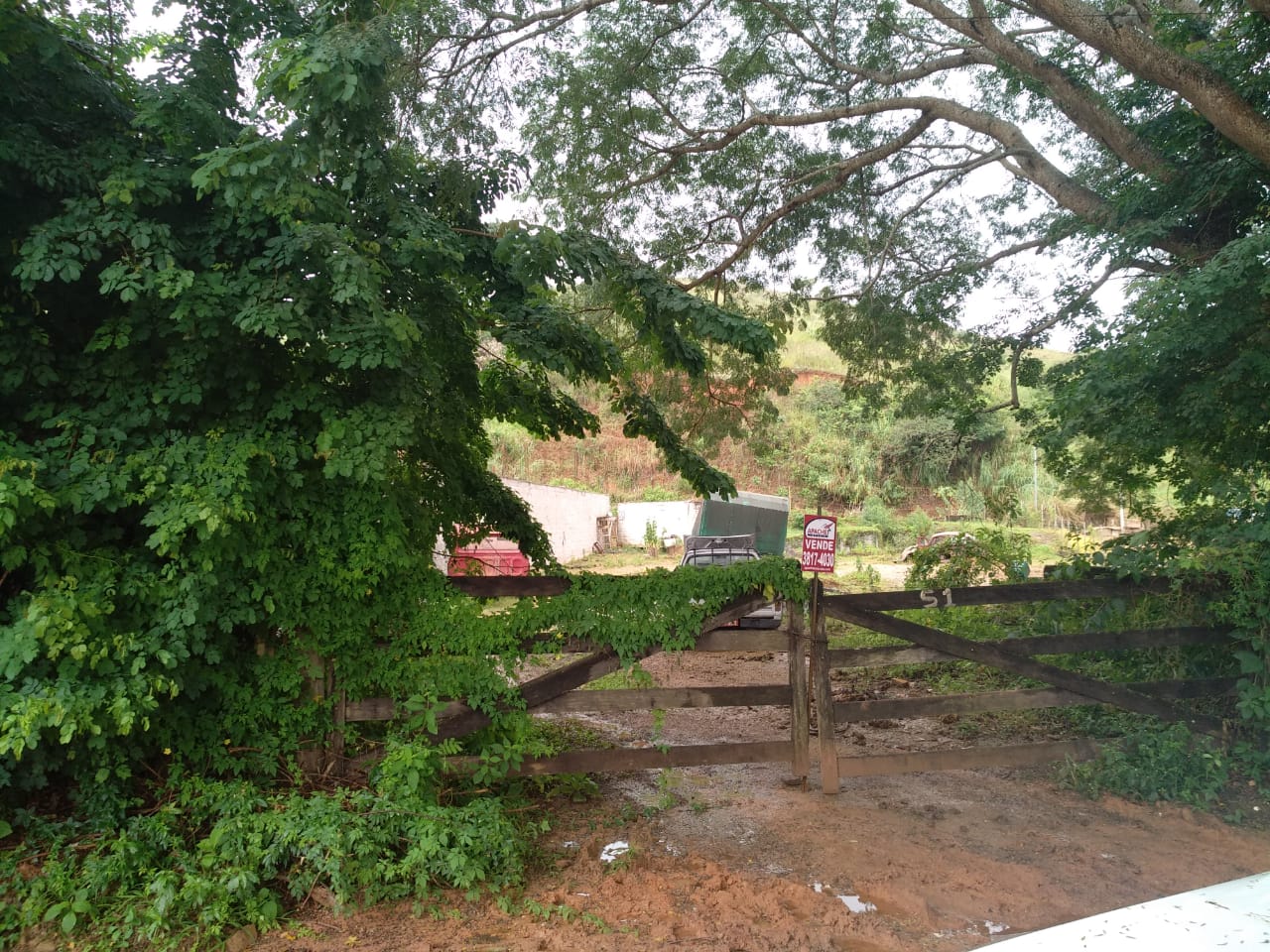 Lote à venda no vale suiço: 