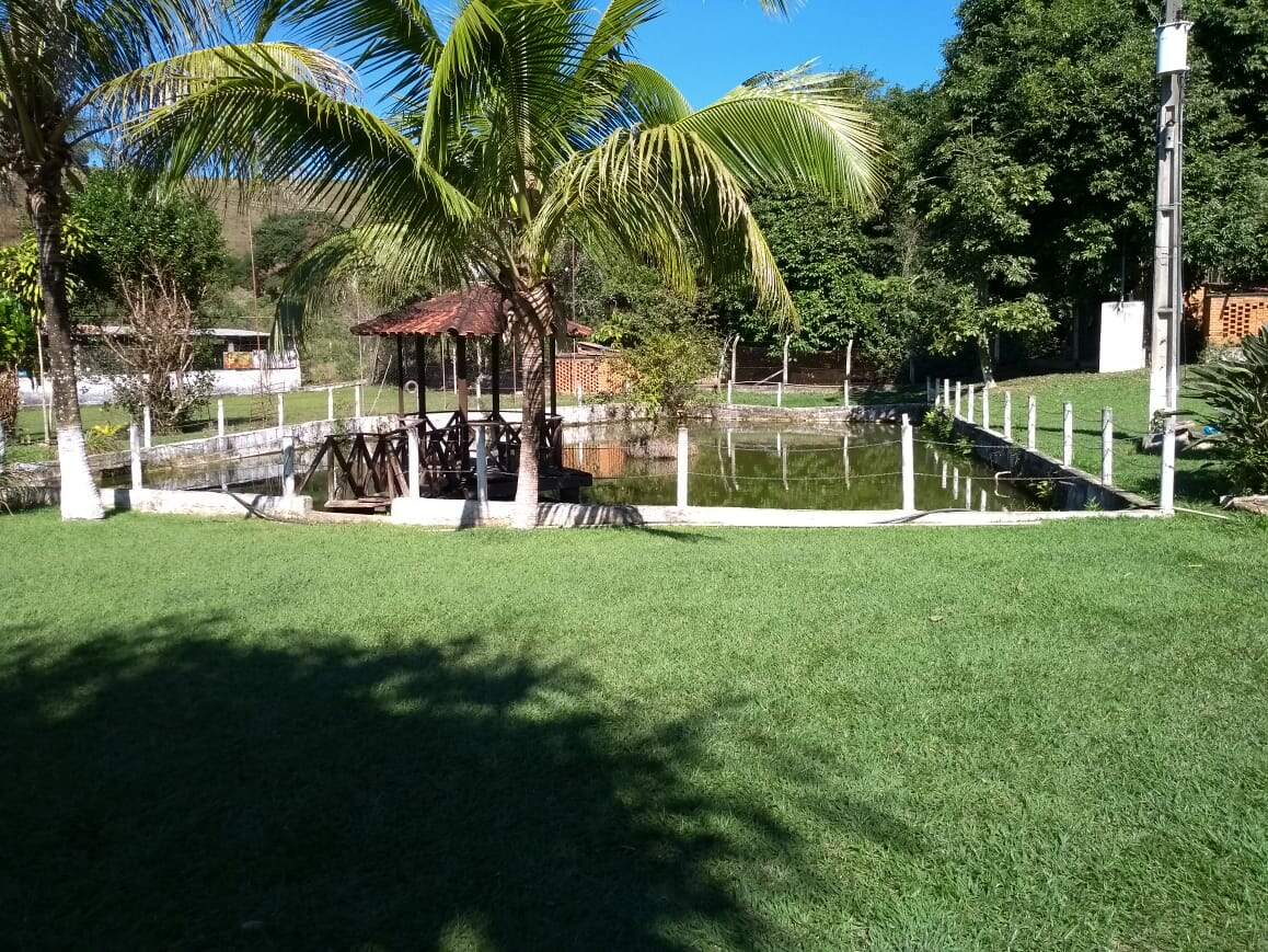 Fazenda à venda no Área Rural de Ponte Nova: 