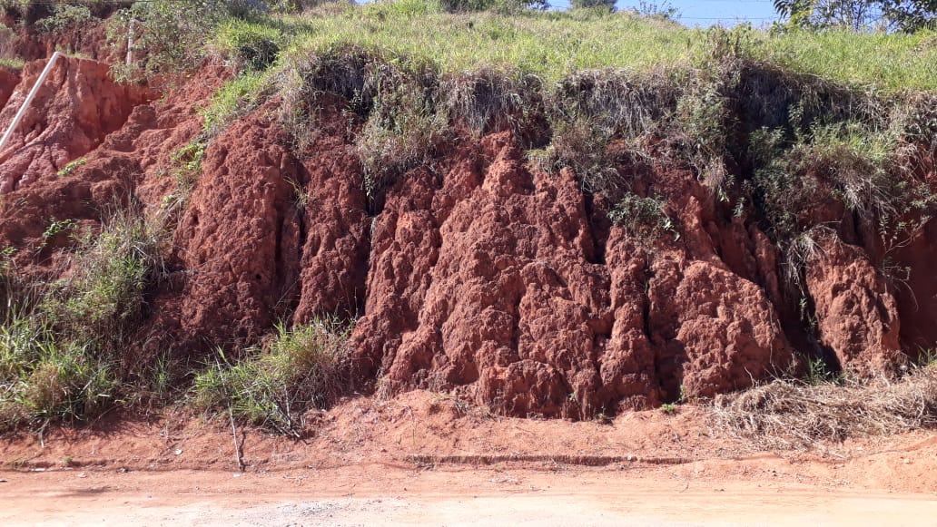 Lote à venda no Paraíso: 