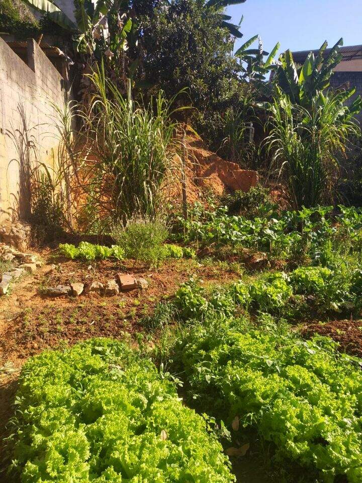 Lote à venda no São Geraldo: 