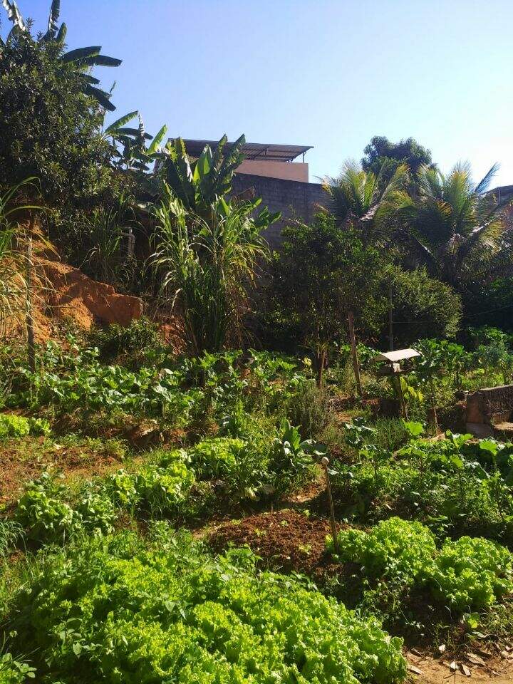 Lote à venda no São Geraldo: 