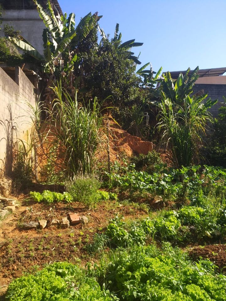 Lote à venda no São Geraldo: 