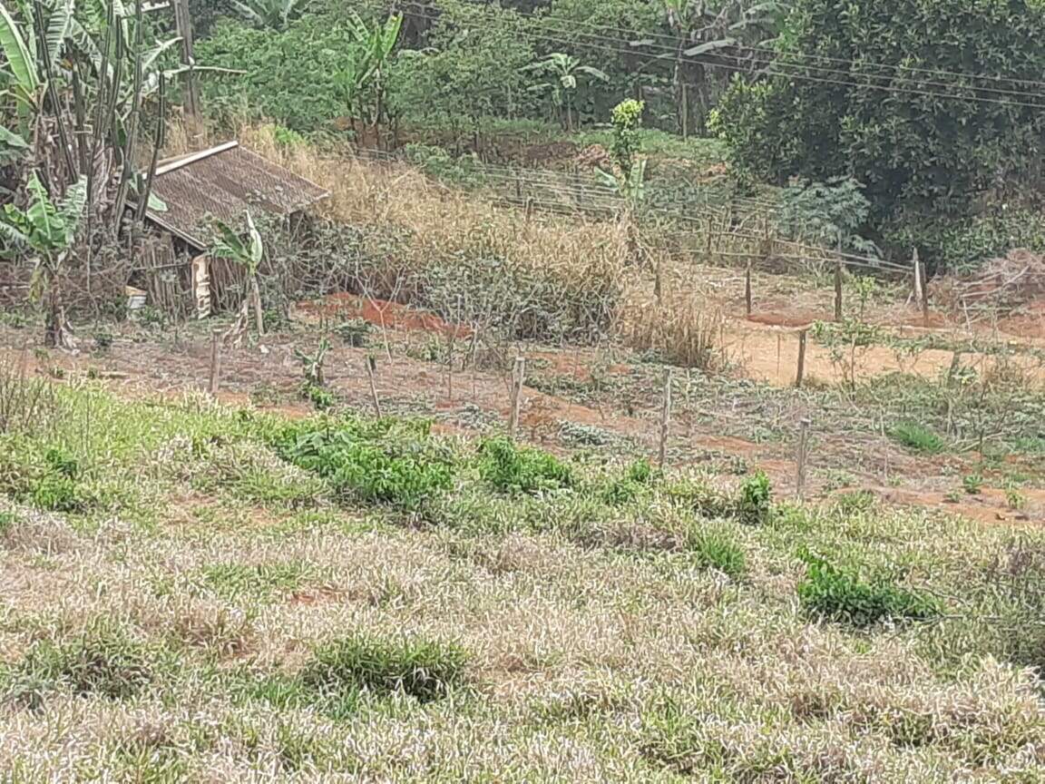 Lote à venda no ZONA RURAL: 