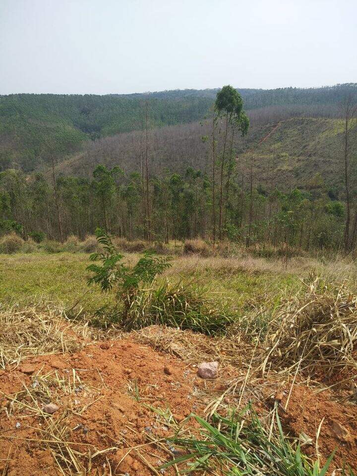 Lote à venda no Vale Do Sereno II: 