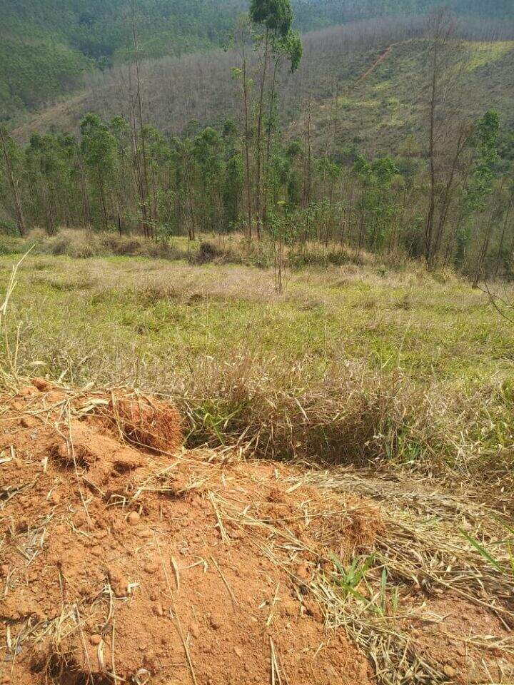 Lote à venda no Vale Do Sereno II: 
