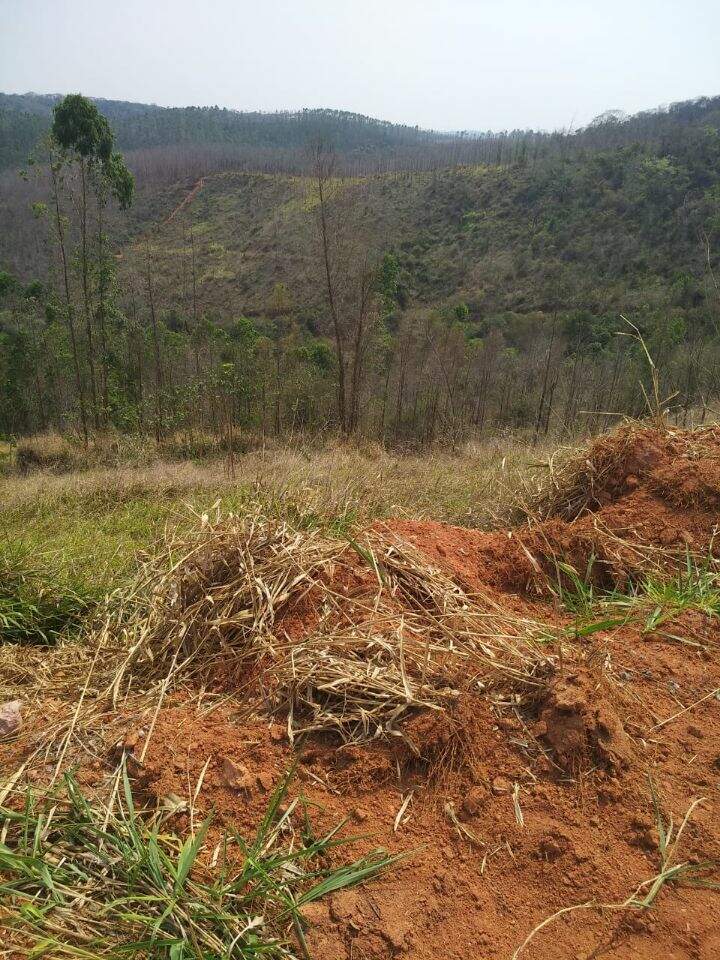 Lote à venda no Vale Do Sereno II: 