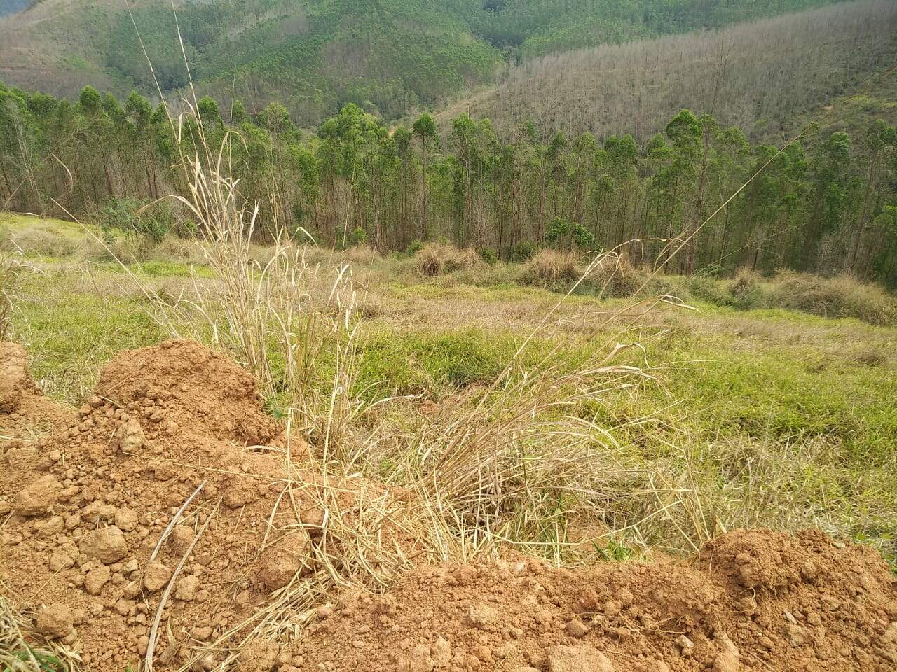 Lote à venda no Vale Do Sereno II: 