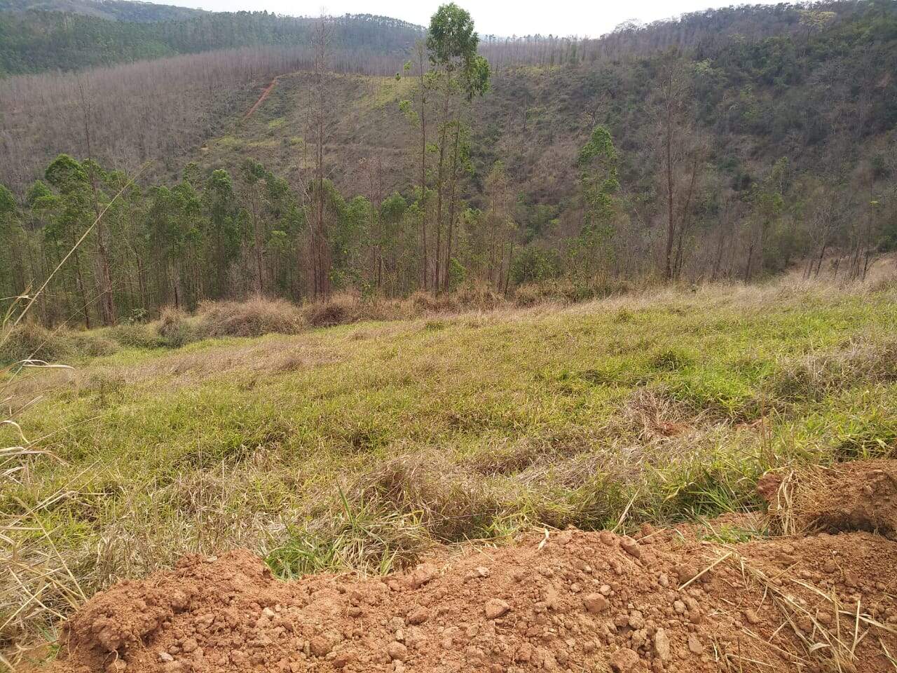 Lote à venda no Vale Do Sereno II: 