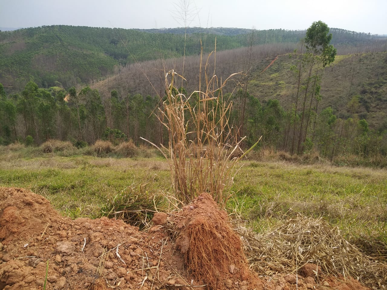 Lote à venda no Vale Do Sereno II: 