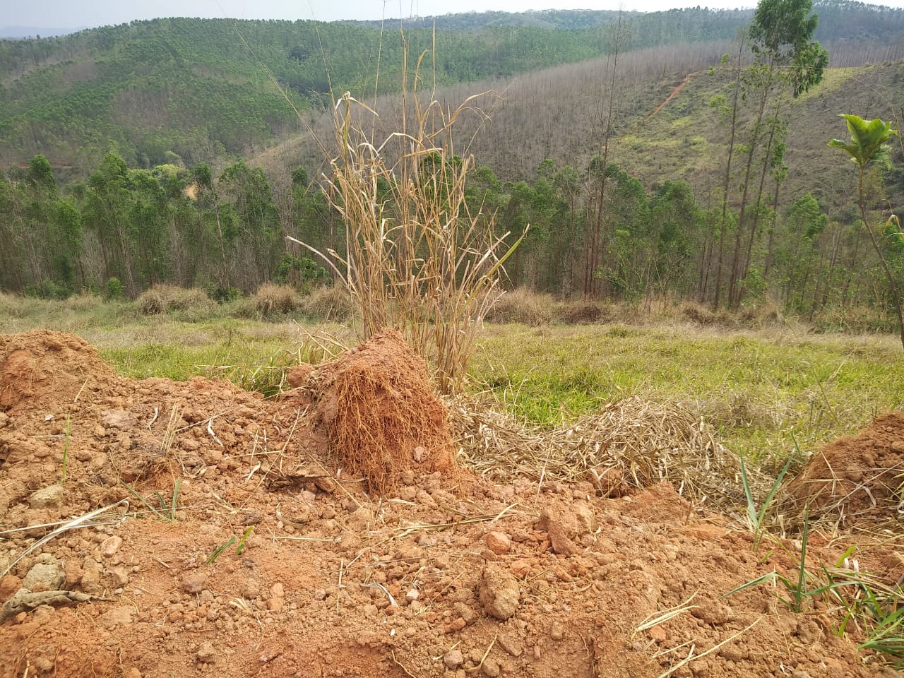 Lote à venda no Vale Do Sereno II: 