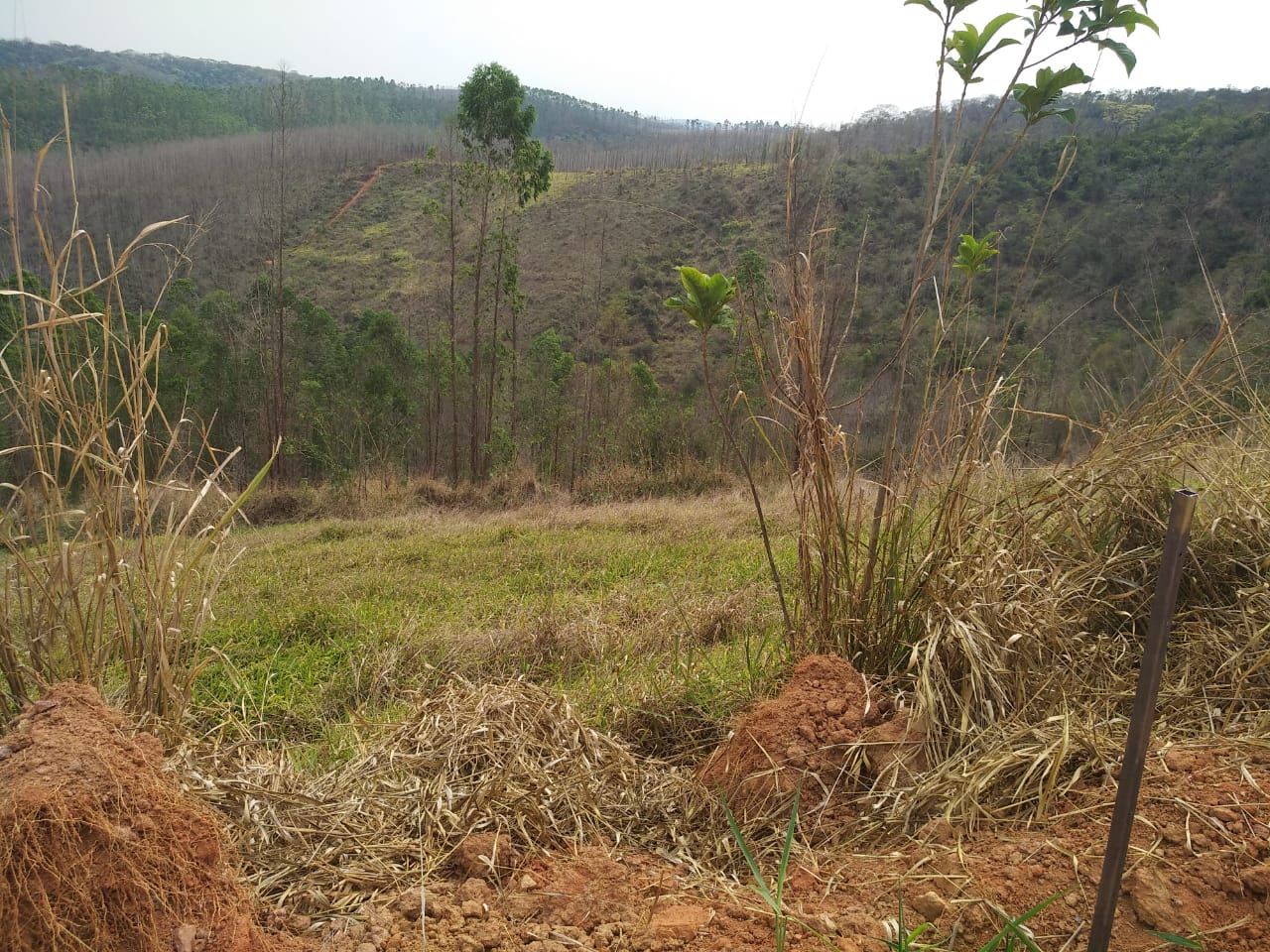 Lote à venda no Vale Do Sereno II: 