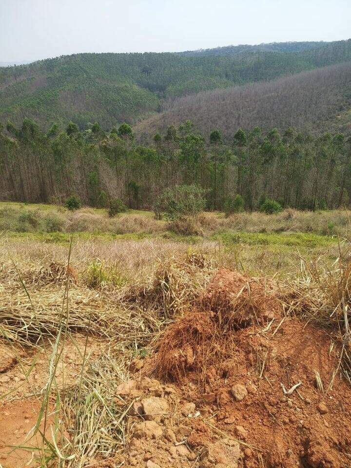Lote à venda no Vale Do Sereno II: 