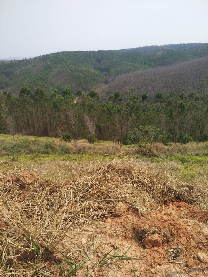 Lote à venda no Vale Do Sereno II: 