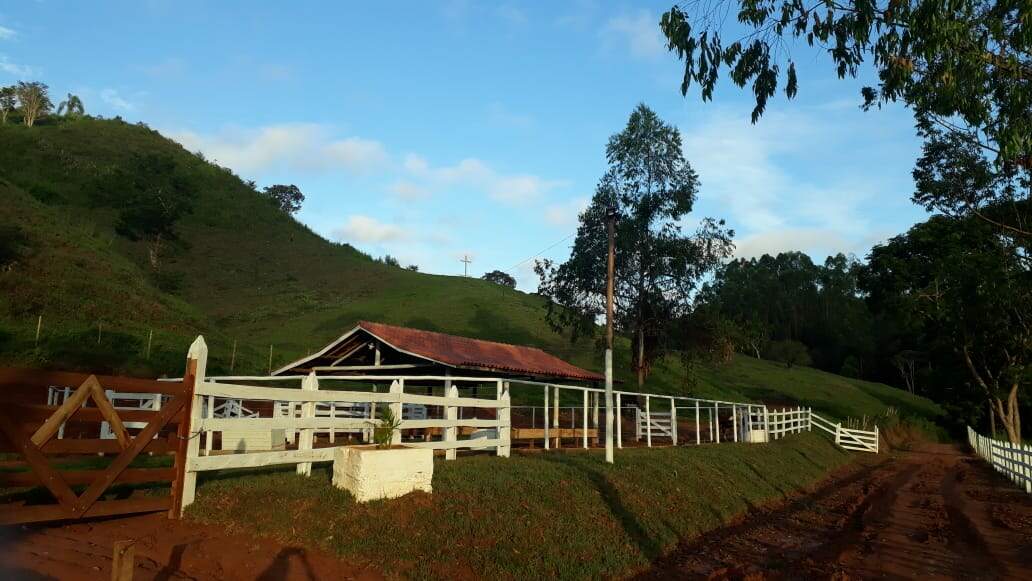 Sítio à venda no Área Rural de Ponte Nova: 